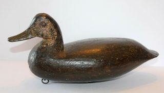 Vintage Doug Jester Carved Black Duck Decoy Chincoteague Island Virginia 4