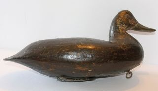 Vintage Doug Jester Carved Black Duck Decoy Chincoteague Island Virginia 6