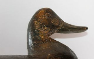 Vintage Doug Jester Carved Black Duck Decoy Chincoteague Island Virginia 7