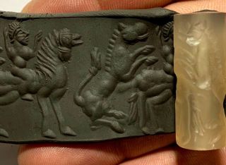Intact Rare Near Eastern Cylinder Seal - Rider,  Horse Pendant 12.  1gr 32.  0mm
