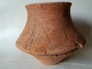 Prehistoric Cup 134 Mm