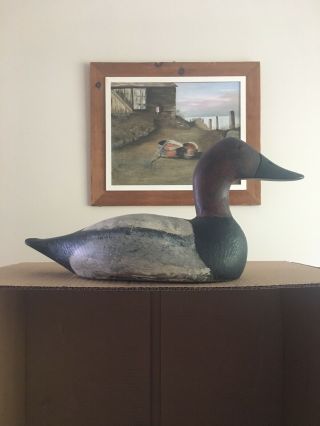 Antique Canvasback Decoy 17”