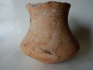 Prehistoric Cup 125 Mm