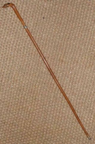 Antique Spaniel Dogs Head Handle Swagger Stick/show Cane