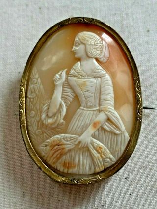 Antique Victorian Rare Hand Carved Shell Cameo Gold Filled Pin Brooch C 1900s