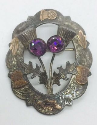 Antique Scottish Victorian Sterling Silver & Amethyst Thistle Pin