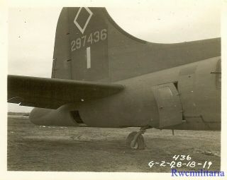 Org.  Photo: Tail Section Of 99th Bomb Group B - 17 Bomber (42 - 97436) ; 1944