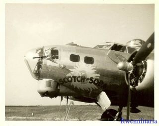 Org.  Nose Art Photo: B - 17 Bomber " Scotch N 