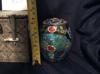 EXTREMELY RARE ST.  JAMES ' S HOUSE 1 / 300 Chinese Republic Tea Caddy 5