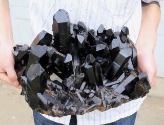 26.  97lb Natural Rare Black Quartz Crystal Cluster Mineral Specimen