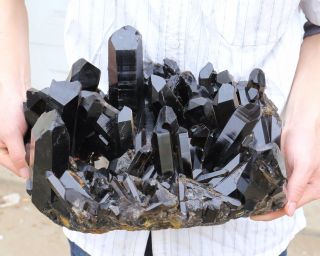 26.  97lb Natural Rare Black QUARTZ Crystal Cluster Mineral Specimen 2