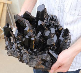 26.  97lb Natural Rare Black QUARTZ Crystal Cluster Mineral Specimen 5