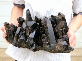 26.  97lb Natural Rare Black QUARTZ Crystal Cluster Mineral Specimen 8