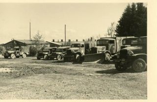 Org Wwii Photo: American Wc,  Jeeps,  & Transport Trucks In Assembly Area