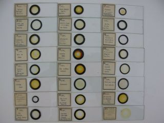 Cased set of 24 Antique Microscope Slides from France.  Diatoms.  With List. 4