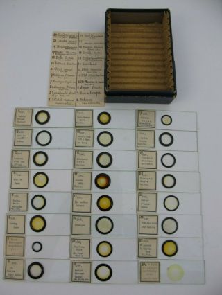 Cased set of 24 Antique Microscope Slides from France.  Diatoms.  With List. 5