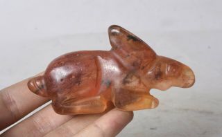3.  6 " Rare Chinese Hong Shan Culture Old Red Crystal Carved Rabbit Animal Statue