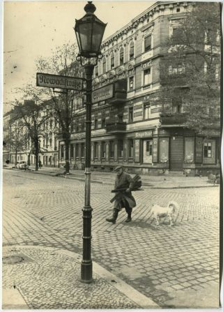 Wwii Large Size Press Photo: Quiet Street View In Surrendered Berlin,  May 1945
