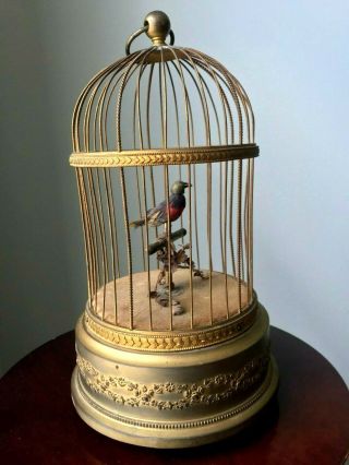 Antique Mechanical Singing Bird In A Cage France Early 1900’s