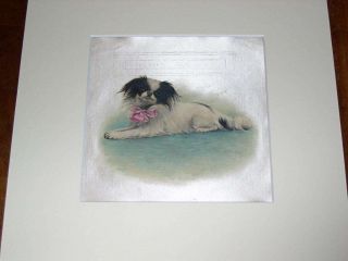 Antique Japanese Chin Dog Oil Painting On Silk 1930 Quality Dogs