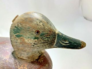 Rare 1920 ' s A.  Elmer Crowell Duck Decoy Glass Eyes 15 1/2 