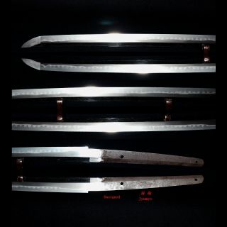 刀 KATANA Antique Japanese Long Sword 70.  2cm Unsigned 寿命 Jyumyo,  NBTHK Paper 9