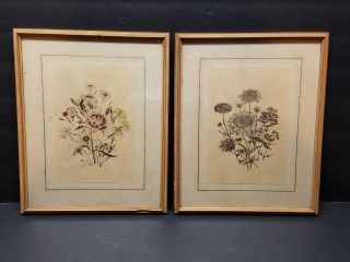 Vintage Antique Floral Flower Water Color Painting Art Wood Glass Frame Picture