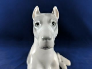 Vintage LOMONOSOV Porcelain Great Dane dog figurine USSR/Soviet/Russia Pristine 4