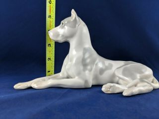 Vintage LOMONOSOV Porcelain Great Dane dog figurine USSR/Soviet/Russia Pristine 7