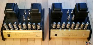 Rare Wolcott Presence P220m 220w Mono Tube Amplifiers Audiophile $10000 Msrp