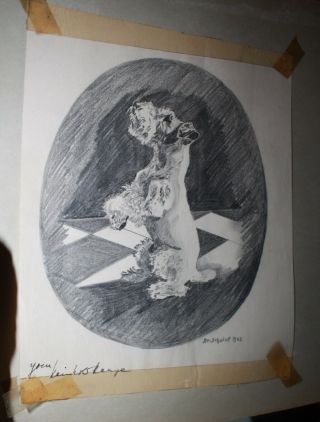 Wwii German Prisoner Of War Pencil Sketch Of Schnauzer Dog Camp Hearne Texas