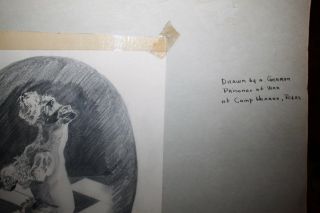 WWII German Prisoner of War Pencil Sketch of schnauzer dog Camp Hearne Texas 2