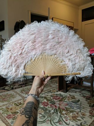 Antique Dress Vintage 1920s Ostrich Feather Hand Fan Gilt Roses Bamboo Handle