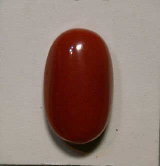 Beauty Hand Carving Cameo (coral) 16.  5mm 10mm (ec511).