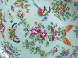 Chinese Famille Vert 7⅜ " Plate Bird & Butterfly (ref4871)