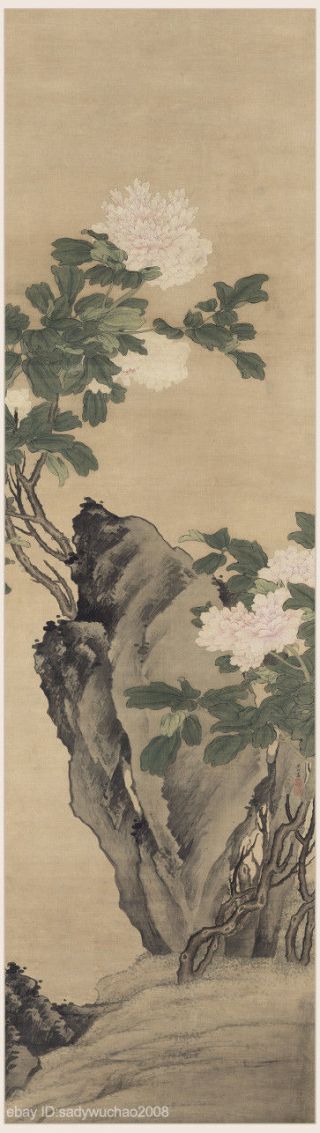 Chinese Scroll Painting Peony Flowers In Color By Fan Qi In Ming Dynasty