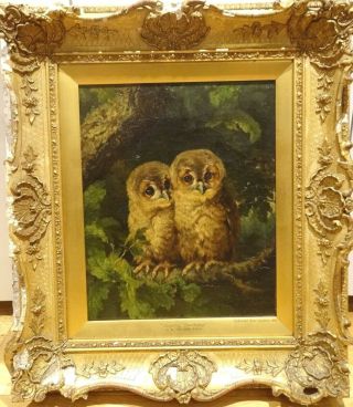19th Century English Owls In A Tree Study By George Holmes Royal Academy Antique