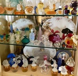 Rare Lalique Crystal Extra Lg Chrysalide 11.  5” Vase Ltd Ed Perfection 12