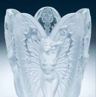 Rare Lalique Crystal Extra Lg Chrysalide 11.  5” Vase Ltd Ed Perfection
