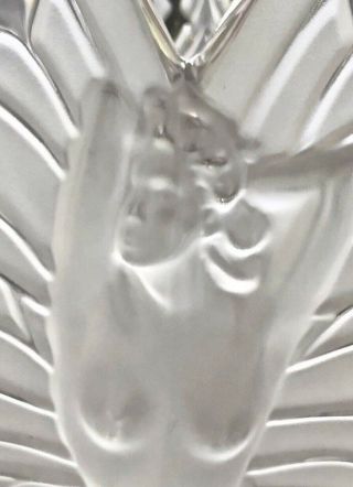 Rare Lalique Crystal Extra Lg Chrysalide 11.  5” Vase Ltd Ed Perfection 4