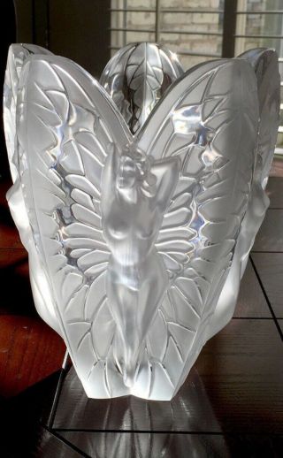 Rare Lalique Crystal Extra Lg Chrysalide 11.  5” Vase Ltd Ed Perfection 6