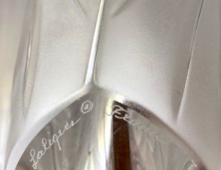 Rare Lalique Crystal Extra Lg Chrysalide 11.  5” Vase Ltd Ed Perfection 9