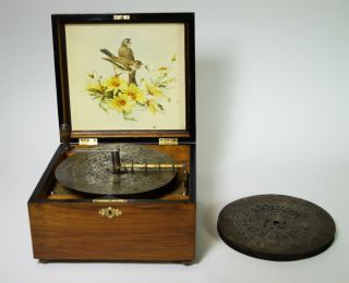 Fascinating Antique Kalliope Disc Music Box