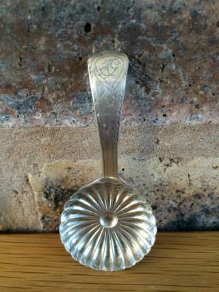 Antique 1801 Georgian Silver Hallmarked Caddy Spoon By Joseph Taylor
