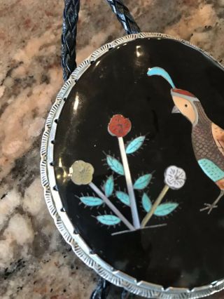 Vintage Zuni Elliot Qualo Inlay Quail With Flowers Bolo 2