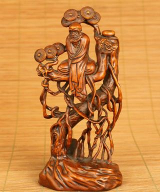 Asian Rare Old Boxwood Hand Carving In The Tree Bodhidharma Figue Decoration