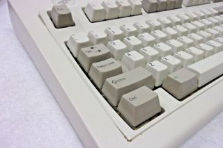 IBM Model M 101 Keyboard (1391401) - Vintage Manufactured August,  1990 4