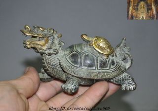 Old Chinese Feng Shui Bronze Gilt Dragon Turtle Tortoise Lucky Animal Statue