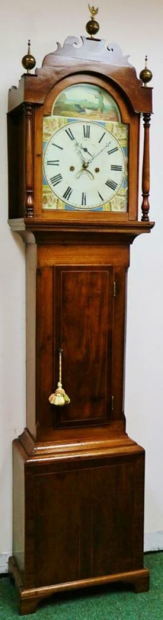 Antique English 8 Day South West Striking Cottage Longcase Grandfather Clock 2