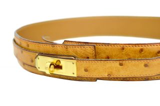 Authentic HERMES Kelly Belt Ostrich Leather Gold Hardware Vintage Size 70 3